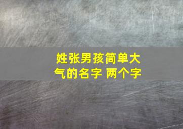 姓张男孩简单大气的名字 两个字